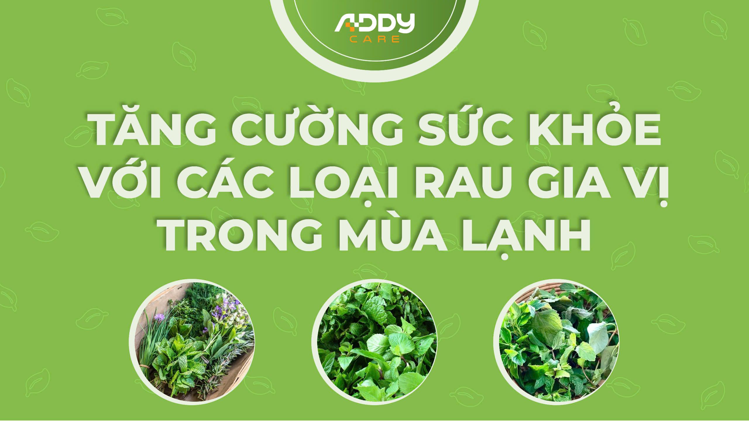 Tăng Cường Sức Khoẻ Với Các Loại Rau Gia Vị Trong Mùa Lạnh