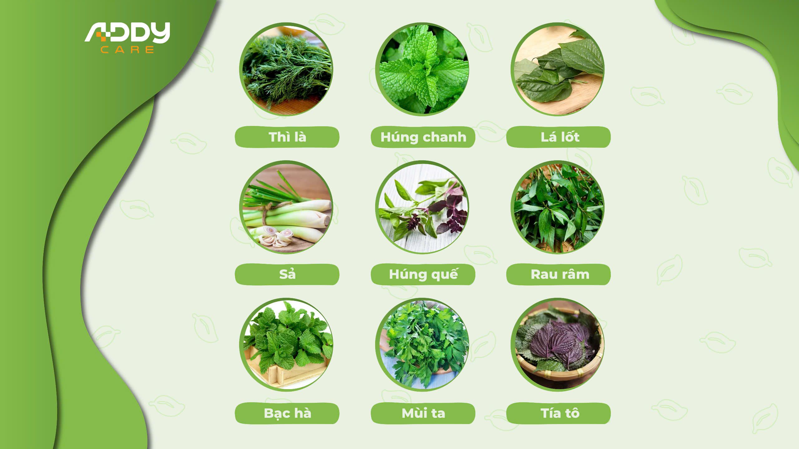Tăng Cường Sức Khoẻ Với Các Loại Rau Gia Vị Trong Mùa Lạnh